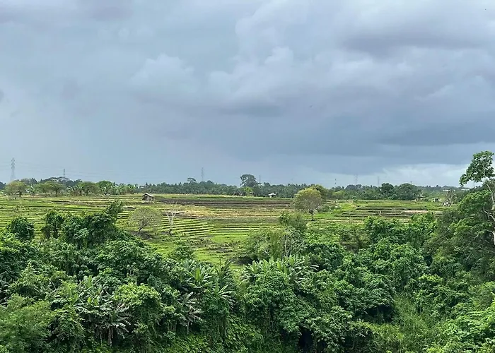 Three Bedrooms With Pool & Rice Field View * Munggu